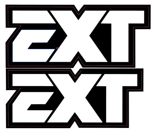 EXT Fork Tube Decals